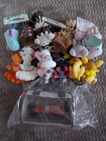ポケモン 磁石でくっつくペアマスコット にたものどうし ミニバッグ リーリエのドラムバッグ 連れ歩きバッグ ポケモンセンター