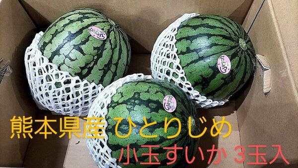 (家庭用)ひとりじめ 小玉すいか3玉入