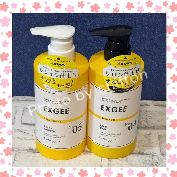 EXGEE エグジー リッチヘア シャンプー& エクストラ スムース トリートメント 本体セット