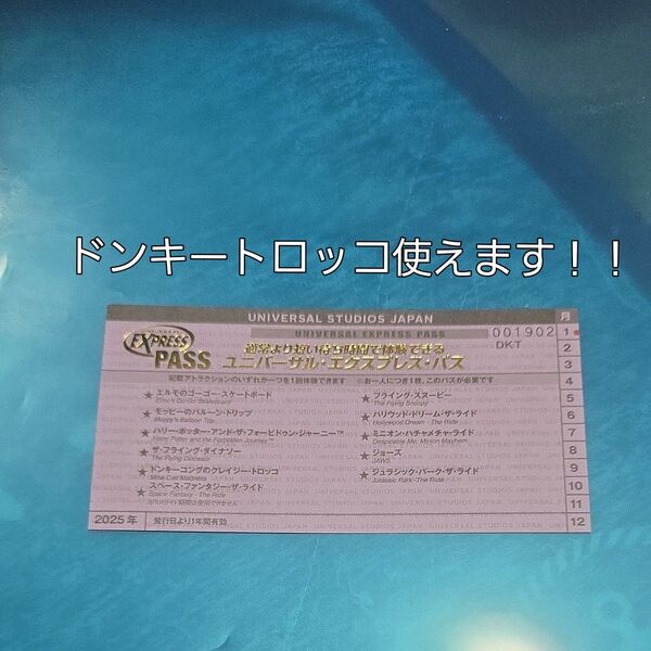 ユニバーサルスタジオジャパン エクスプレスパス(パープル)1枚