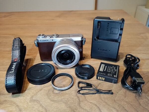 【センサー清掃+レンズプロテクター付】極美品 LUMIX DMC-GM1S + 12-32mmパンケーキレンズKIT【返金保証付】