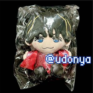 【新品未開封】WEST 藤井流星 AWARD DOME ちびスト ぬい 10周年 ぬいぐるみ