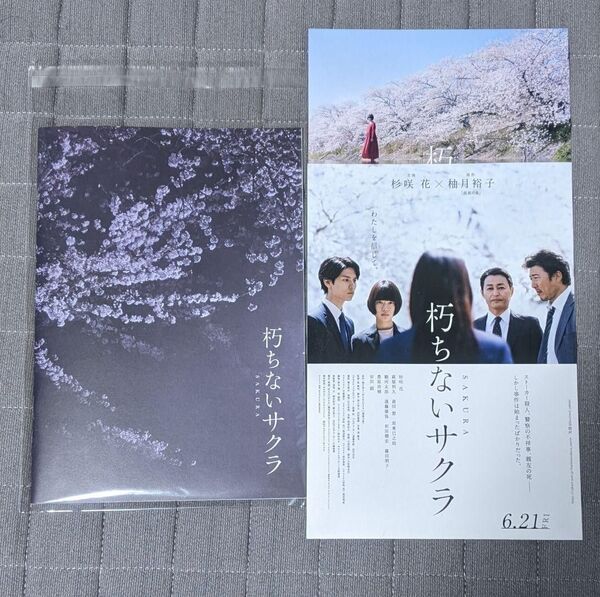 【ラスト】映画「朽ちないサクラ」パンフレット/フライヤー