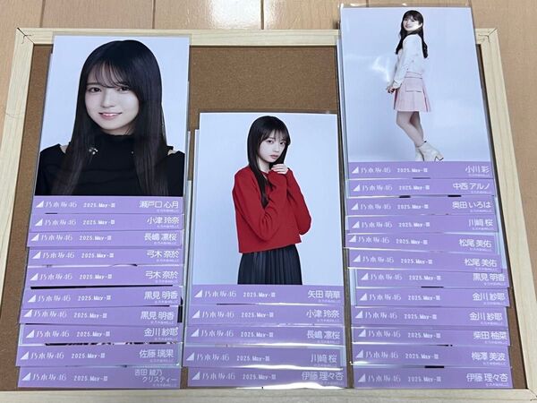 乃木坂46 生写真 レイヤードトップス バラ 27枚 川端晃菜コンプ 計30枚