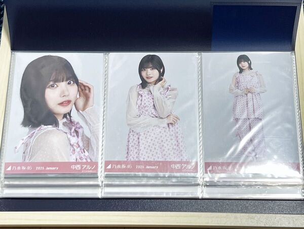 乃木坂46 中西アルノ 生写真 ソフトピンク コンプ