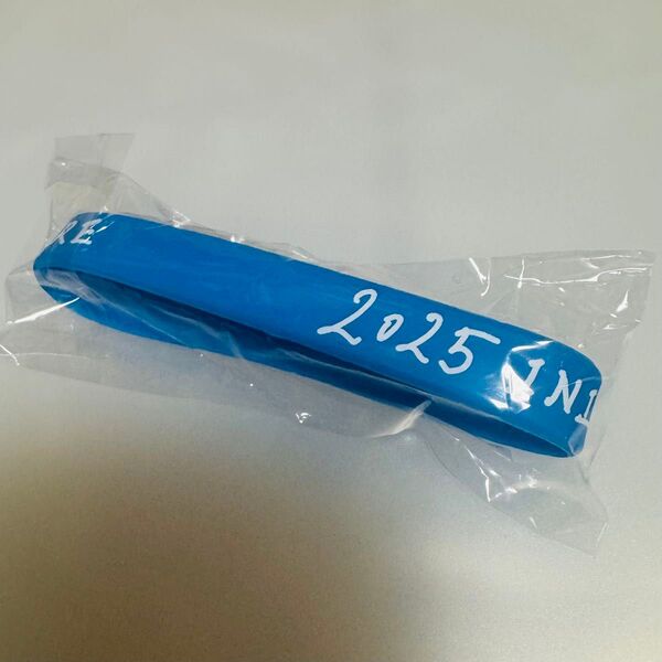 INI カプセルトイ ラバーバンド ラババン 藤牧京介