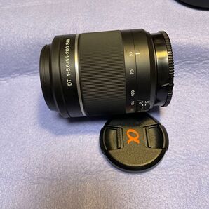 ソニー DT 55-200/4-5.6 SAM