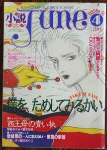 小説JUNE ジュネ 1989年4月号 栗本薫 岸裕子 神崎春子魔木子 ごとうしのぶ 吉田光彦