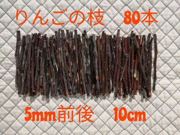 国産 りんごの枝 小枝 80本 かじり木 長野 信州 安曇野 りんごバー 工作材料 ハムスター チンチラ デグー ウサギ