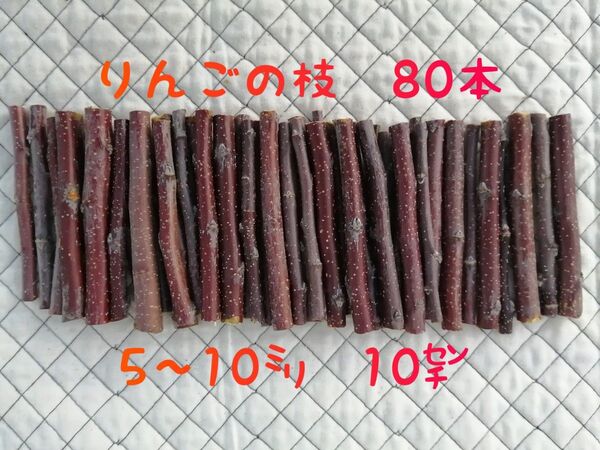 国産 りんごの枝 小枝 80本 かじり木 長野 信州 安曇野 りんごバー 工作材料 ハムスター チンチラ デグー ウサギ