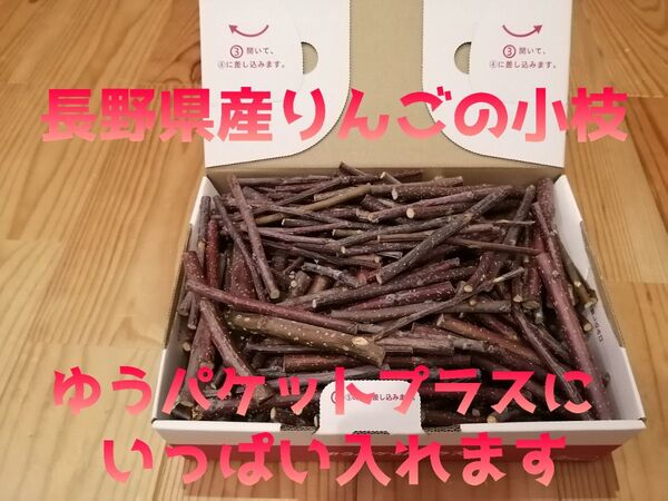 国産 りんごの枝 小枝 かじり木 長野 信州 安曇野 りんごバー 工作材料 ハムスター チンチラ デグー ウサギ