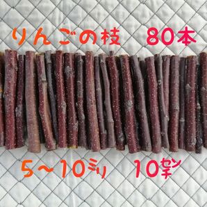 国産 りんごの枝 小枝 80本 かじり木 長野 信州 安曇野 りんごバー 工作材料 ハムスター チンチラ デグー ウサギ