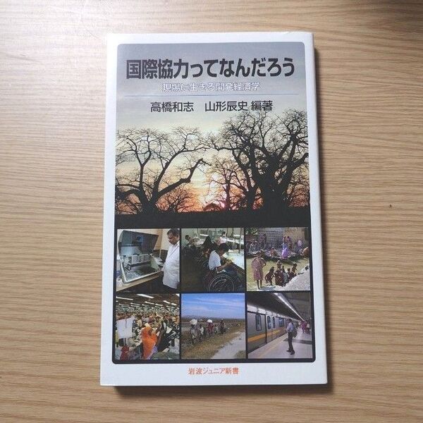 国際協力ってなんだろう 現場に生きる開発経済学 (岩波ジュニア新書 668) 高