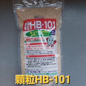 じっくりとあらゆる植物を元気に育てる!!植物活力材 フローラ 顆粒HB101 300g