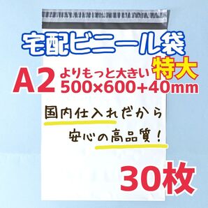 a2 特大 宅配ビニール袋 30枚 500×600 発送用ビニール袋 高品質 ポイント消費 クーポン活用 クーポン消費
