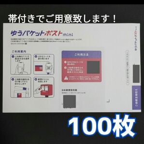 100枚 ゆうパケットポストmini ゆうパケットポストミニ ゆうパケットポスト封筒 専用封筒 ゆうパケット 封筒