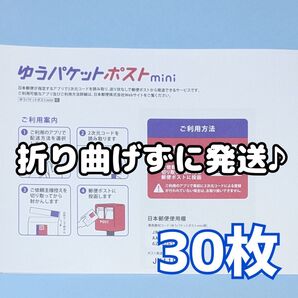 30枚 ゆうパケットポストmini ゆうパケットポストミニ 封筒 発送 専用
