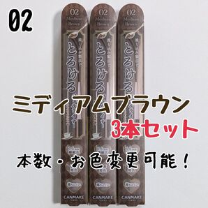 キャンメイク 02 ミディアムブラウン アイライナー クリーミータッチライナー ジェルライナー とろける書き心地