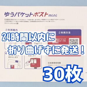 30枚 ゆうパケットポストmini ゆうパケットポストミニ 封筒 発送 専用