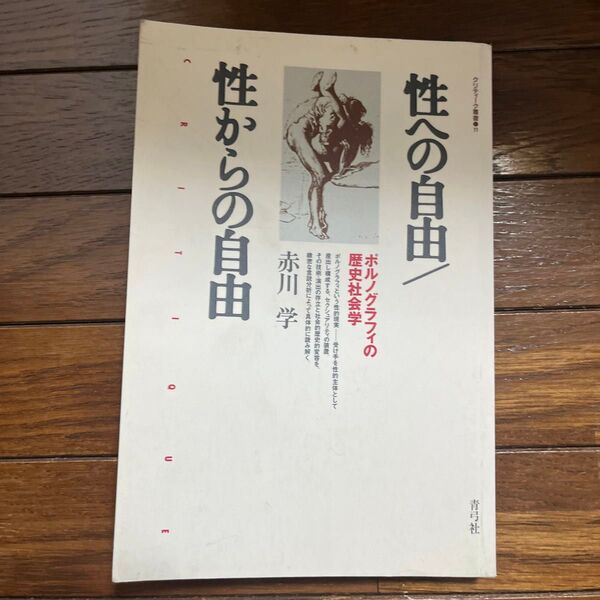 性への自由/性からの自由 ポルノグラフィの歴史社会学 赤川学著