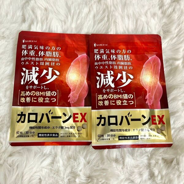 カロバーンEX 2袋セット