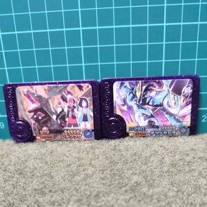 ポケモンフレンダ スーパートレジャー│レックウザ│テツノカシラ フレンダピック
