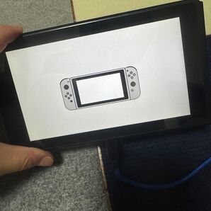 Switch本体 動作確認済