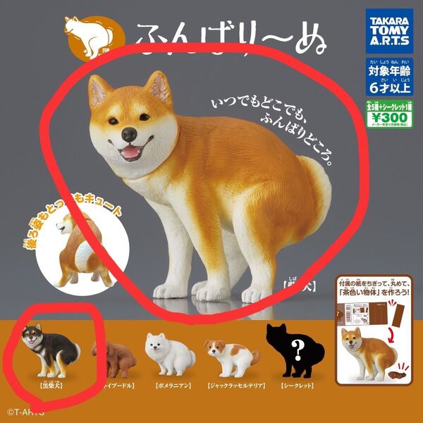 ふんばりーぬ 柴犬 & 黒柴犬 新品未開封品