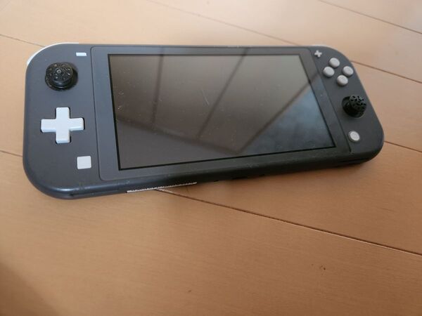 Switchライト マイクラセット