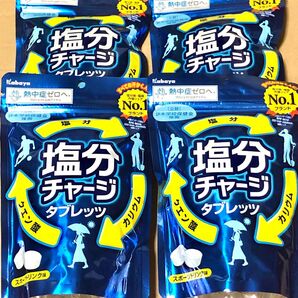 78 お得大量 4袋 カバヤ 塩分チャージタブレット タブレッツ 81g ポイント消化 クーポン利用 お菓子詰め合わせ ダイエット