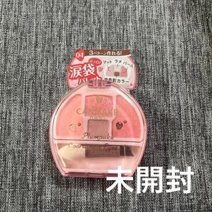 プランぷくコーデアイズ 1.4g (04 イチゴプランぷく)