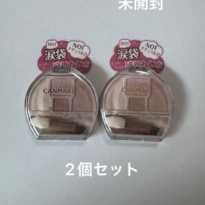 CANMAKE プランぷく コーデアイズ Neo N01 2個セット 未開封