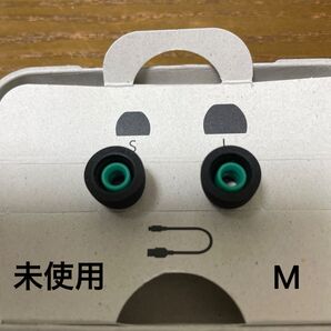 【未使用】SONY WF-1000XM4 付属品 イヤーピースMサイズ ソニー