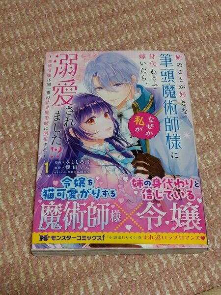 姉のことが好きな筆頭魔術師様に身代わりで嫁いだら、なぜか私が溺愛されました!?~無能令嬢は国一番の結界魔術師に開花する