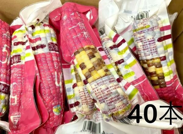 新入荷♪彩糯とうもろこし軸付き【40本入り・1ケース】真空パック もち糯玉米棒 おやつ