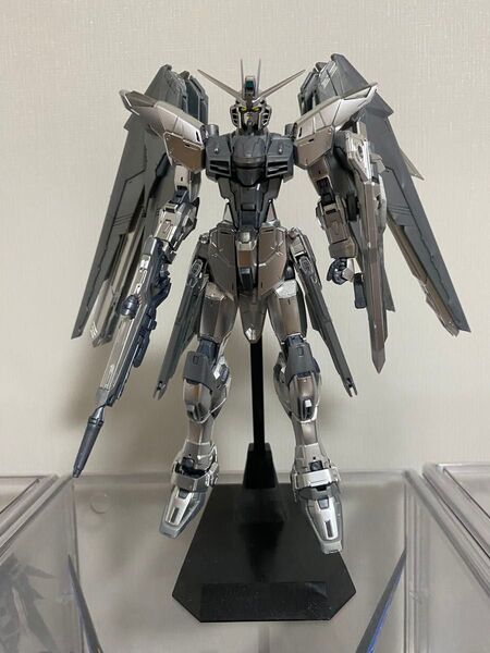 MG フリーダム ガンダム ver2.0 シルバーコーティング セット