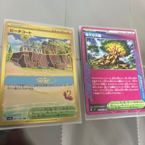 ポケモンカード ビーチコートUR 偉大な大樹ACE