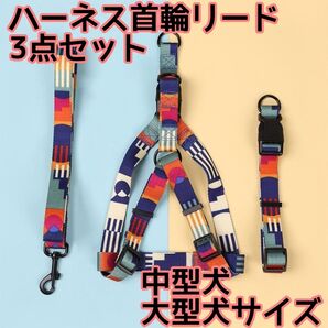 犬ハーネス首輪リード【セット】おしゃれ カラフル 中型大型 犬 ドッグ