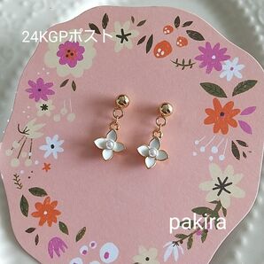 ボロニア フラワー お花 ホワイト 24KGP ポスト ピアス