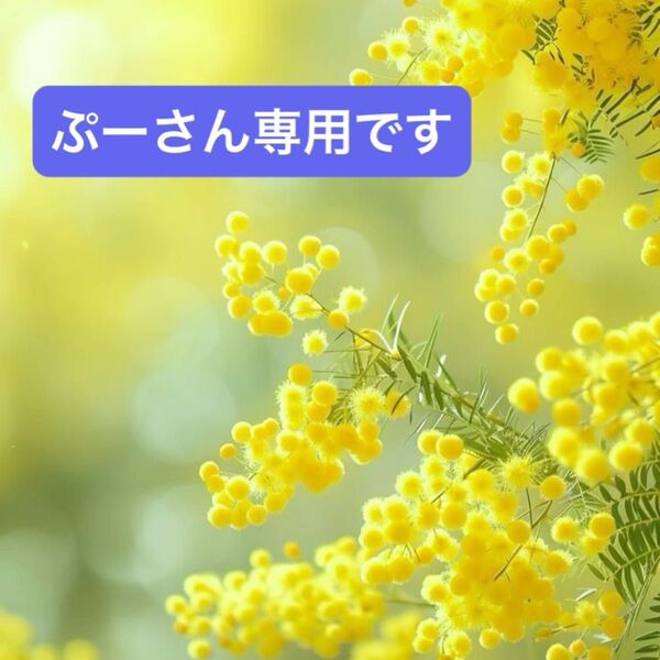 ★ 入手困難 ★ アウトレット 【 白い恋人 】ホワイト 2袋 石屋製菓 お菓子