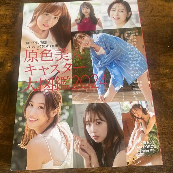 原色美人キャスター大図鑑2024 セントフォース 林佑香 皆藤愛子 女子アナ サイン入り