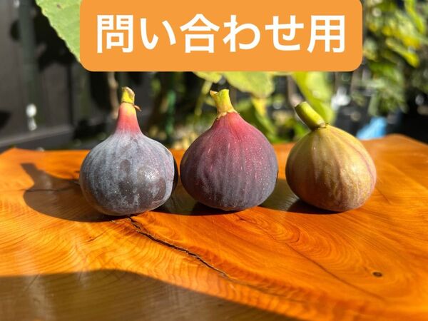 問い合わせ用