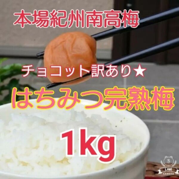 本場紀州高完熟梅 みなべ産チョコット訳あり★はちみつ完熟梅 1kg(塩分8%)2-4Lサイズ