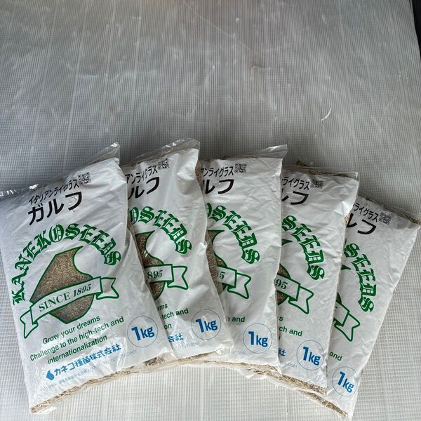 カネコ種苗 イタリアンライグラス ガルフ 1kg 5袋 まとめ売り