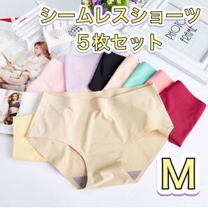 レディースショーツ シームレス 5色セット サラサラ 下着 シンプル パンツ 新品 ピンク ブラック ベージュ パープル ブルー