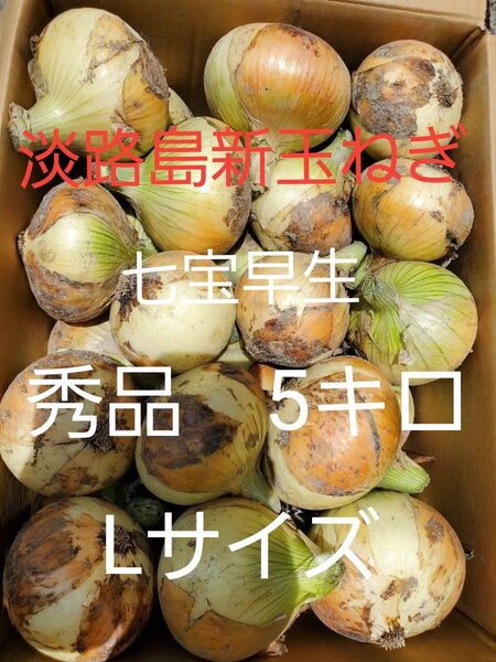 淡路島新玉ねぎ(七宝早生5キロLサイズ)低農薬 農家直送