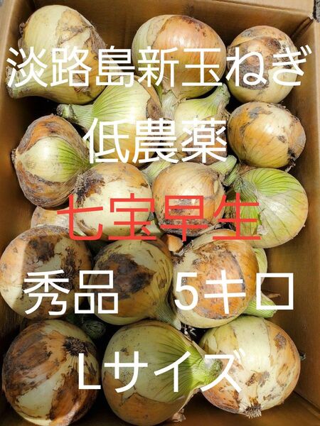 淡路島新玉ねぎ(七宝早生5キロLサイズ)低農薬 農家直送