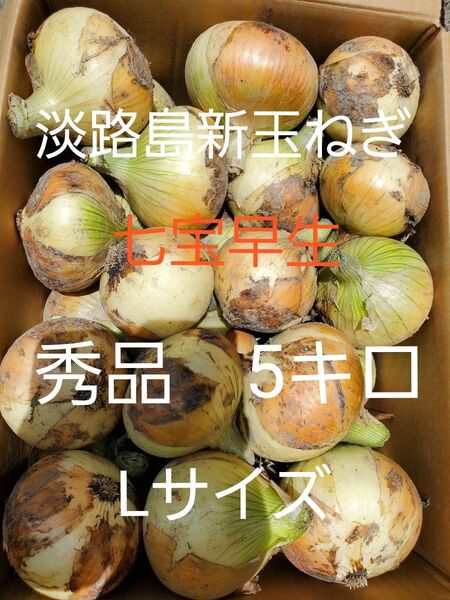淡路島新玉ねぎ(七宝早生5キロLサイズ)低農薬 農家直送