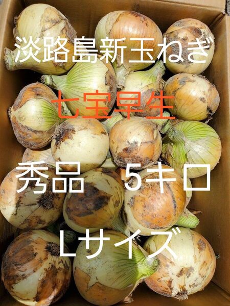 淡路島新玉ねぎ(七宝早生5キロLサイズ)低農薬 農家直送