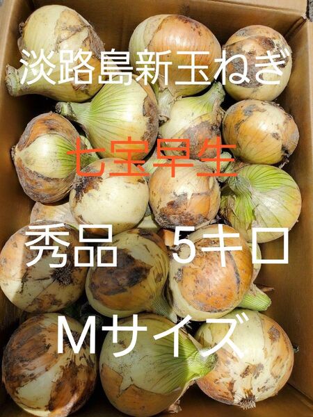 淡路島新玉ねぎ(七宝早生5キロMサイズ)低農薬 農家直送